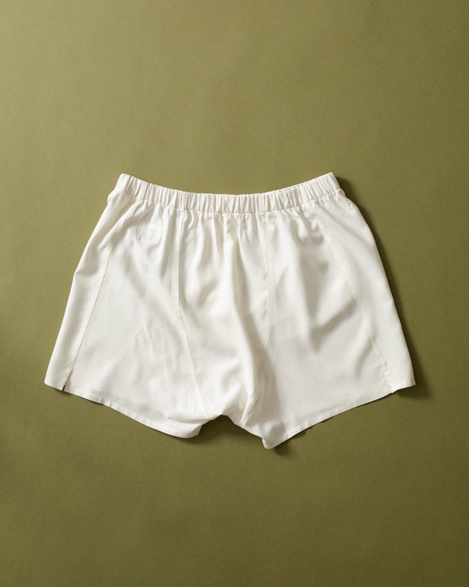 AC-00009-F0 - Boxer Short - Image 3
